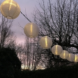 set lampion compleet Goud  zwart