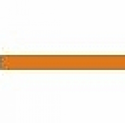 Oranje wimpel 200 cm